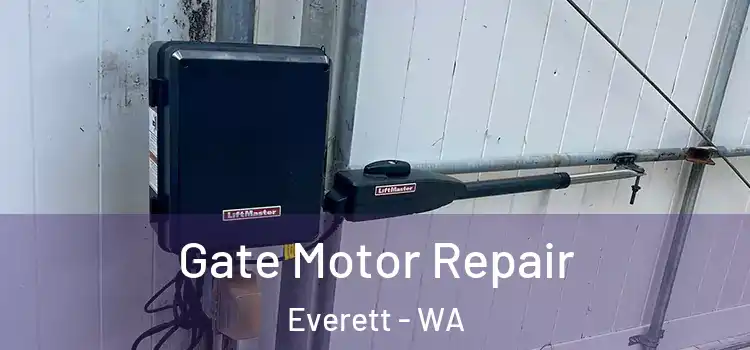 Gate Motor Repair Everett - WA